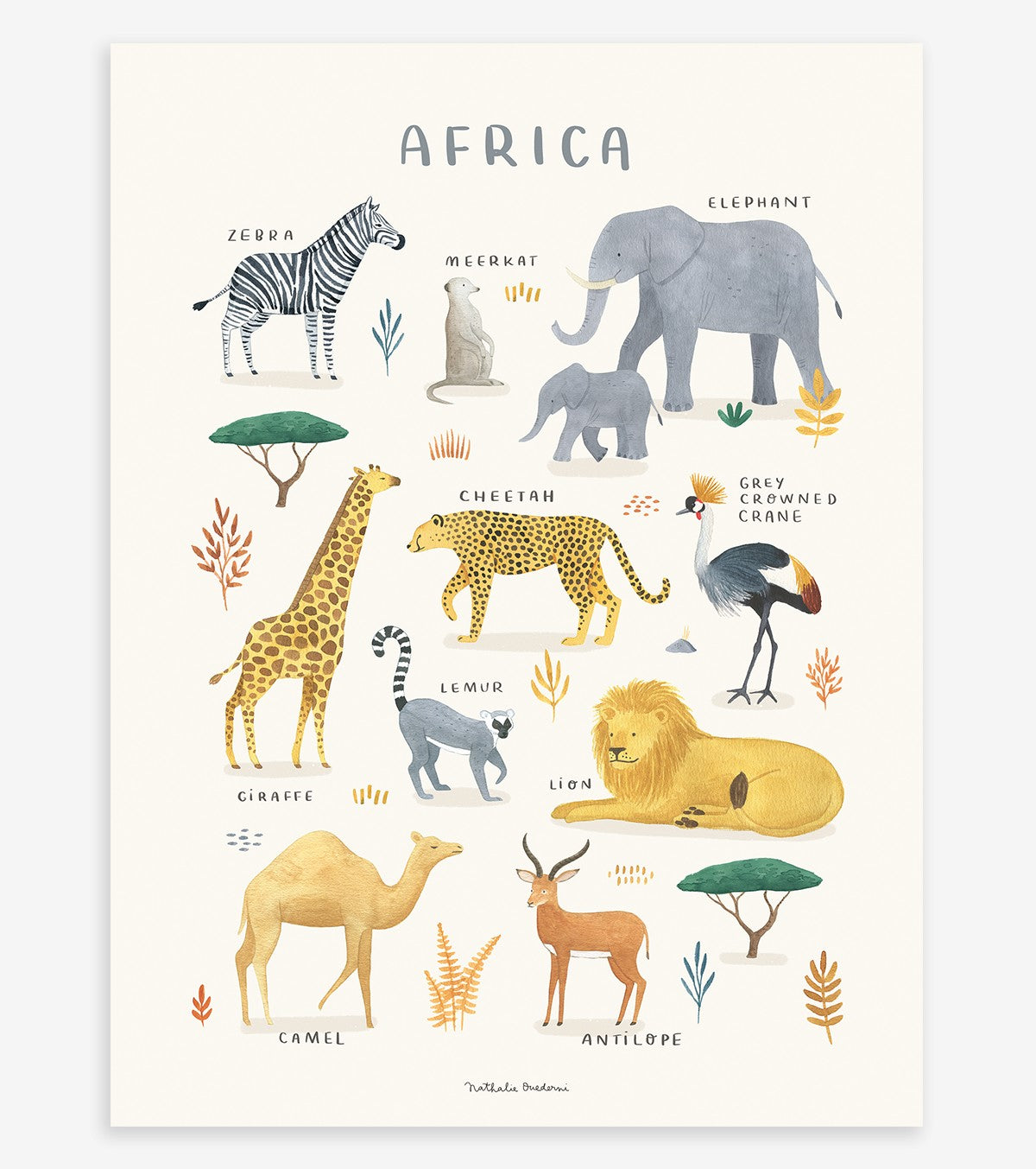 LEVANDE JORD - Barnaffisch - Afrikanska djur