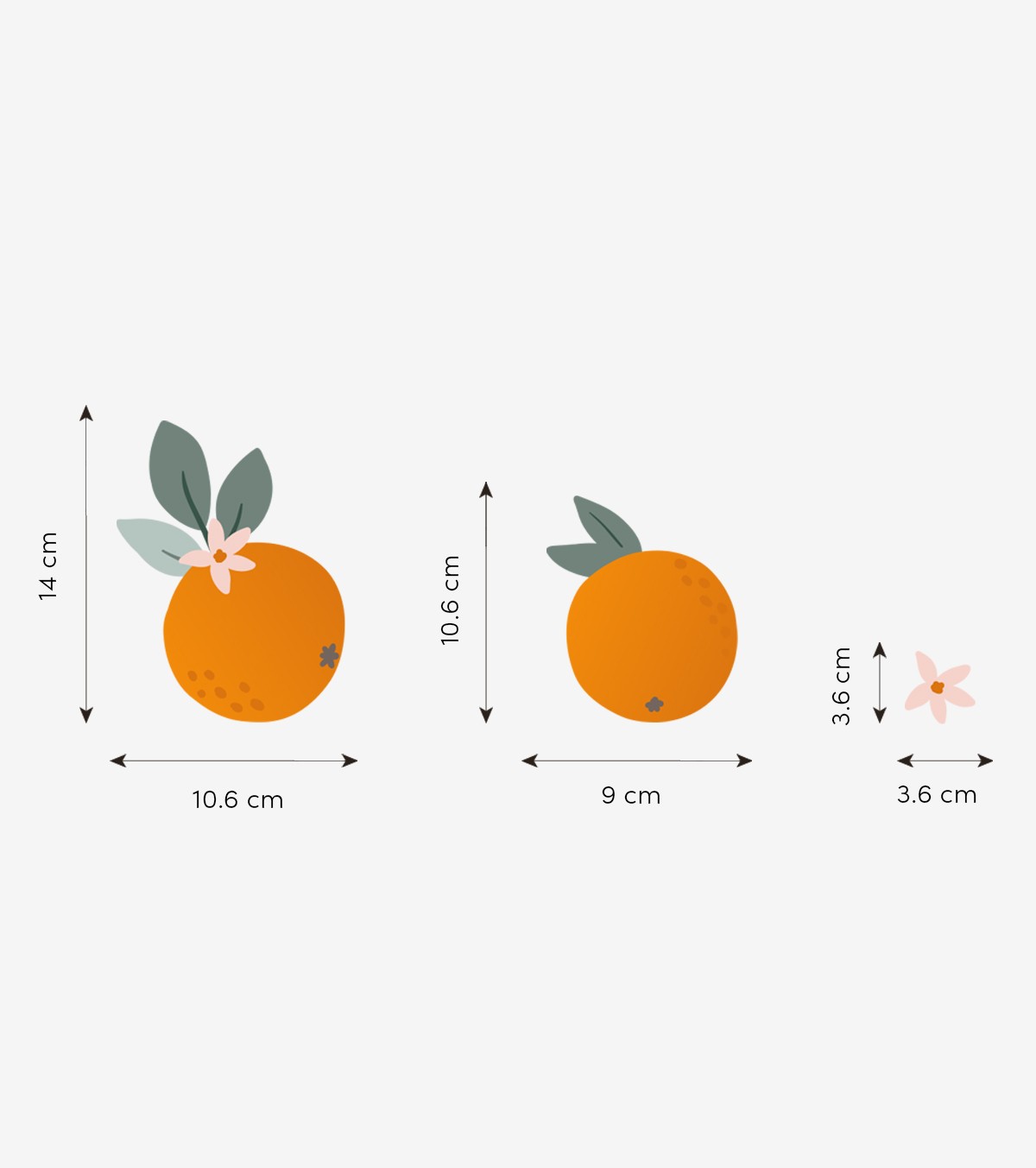 LOUISE - Väggklistermärken - Apelsiner